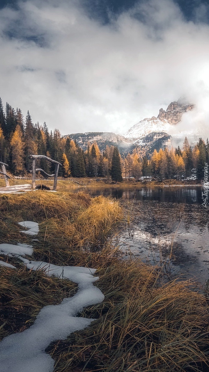 Trawy nad jeziorem Antorno Lake