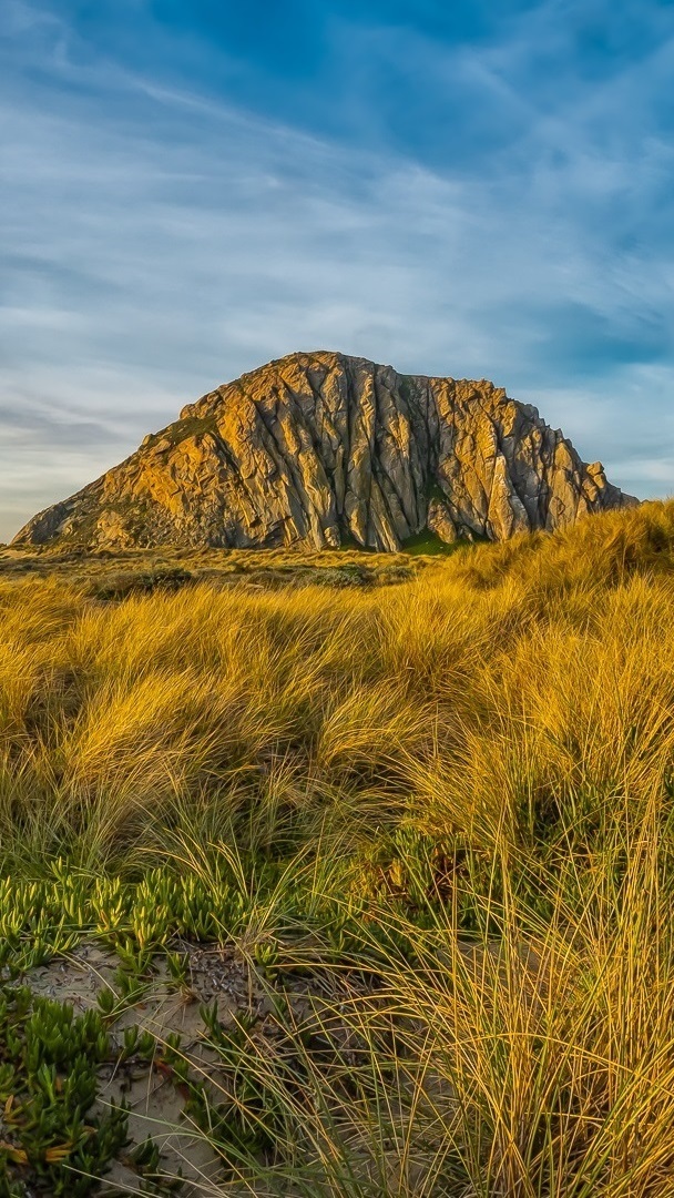 Trawy przy górze Morro Rock