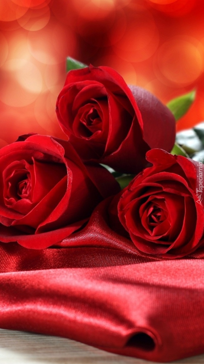 Trzy czerwone róże na tkaninie