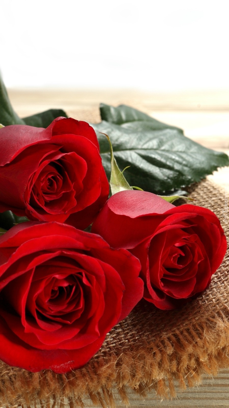 Trzy czerwone róże