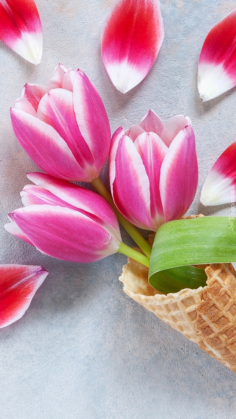 Trzy tulipany w rożku