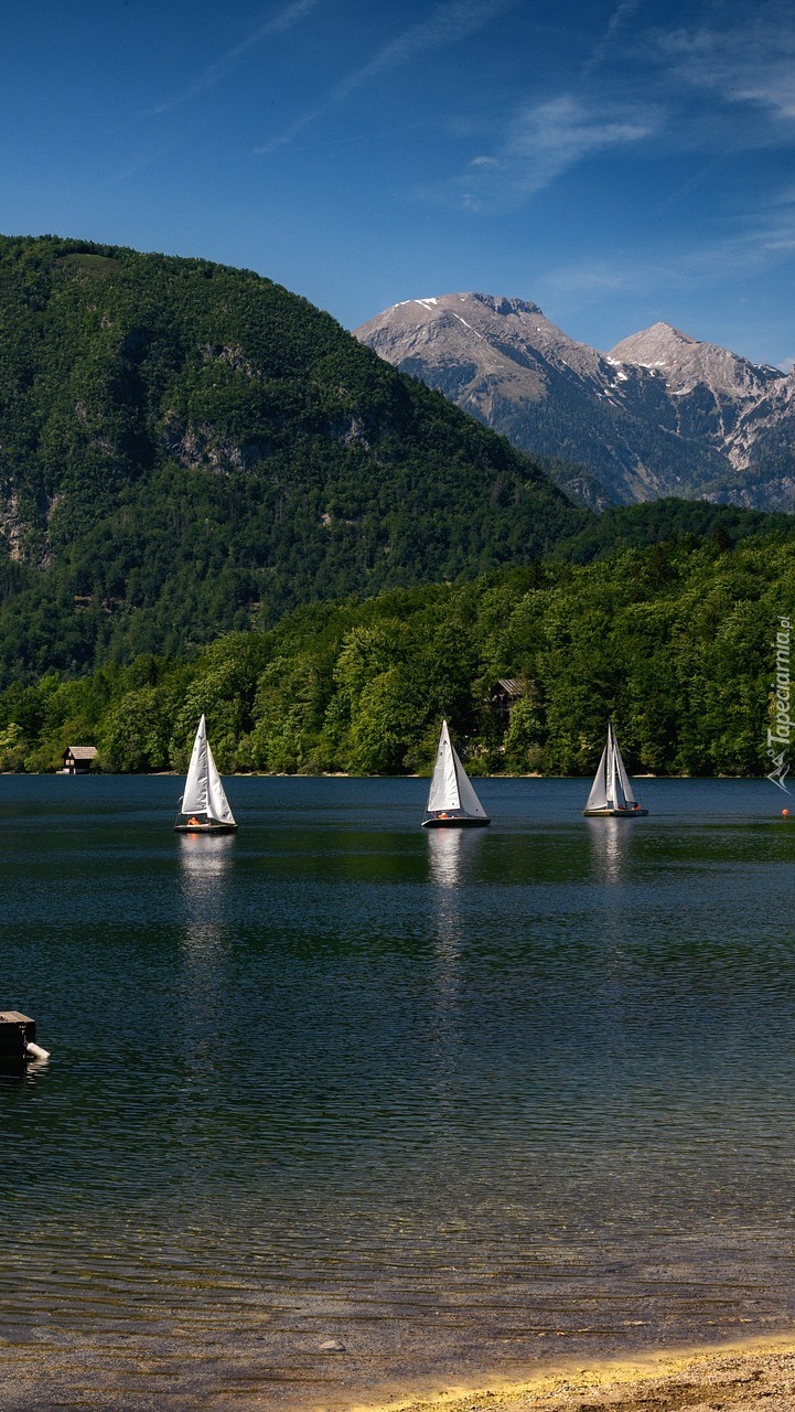 Trzy żaglówki na jeziorze Bohinj