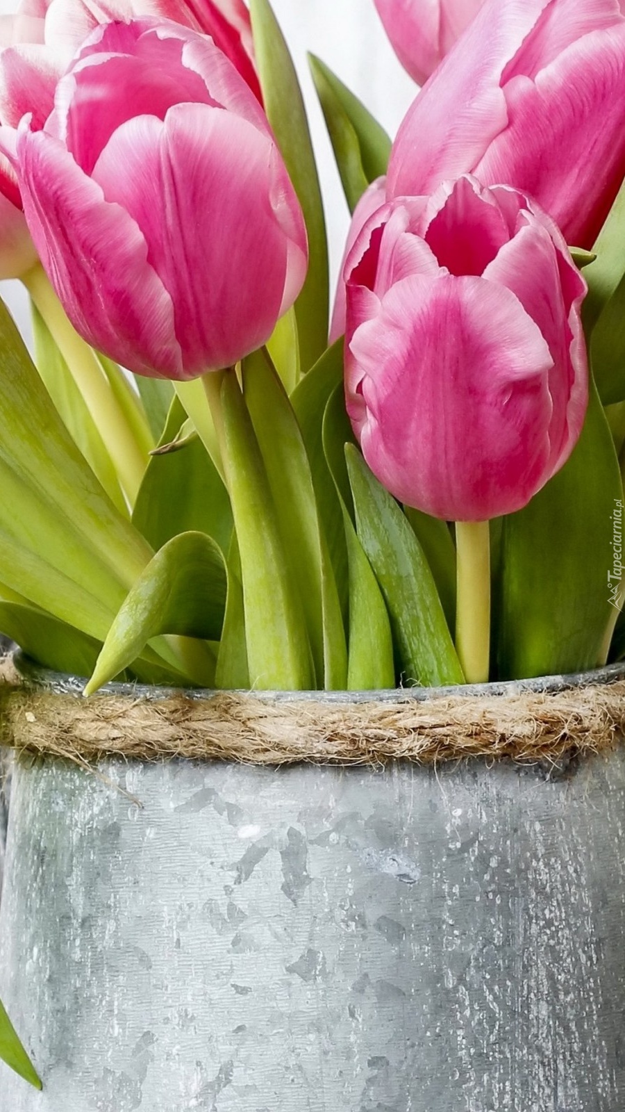 Tulipanowy bukiet