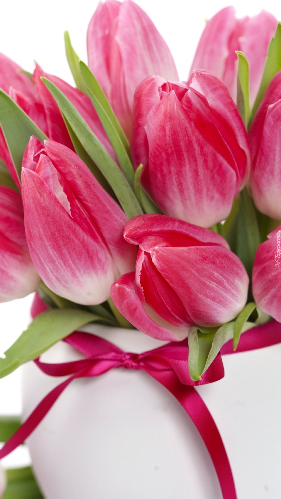 Tulipany dla Ciebie