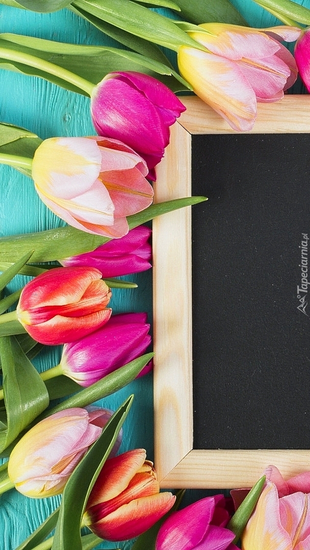 Tulipany kolorowe przy tabliczce