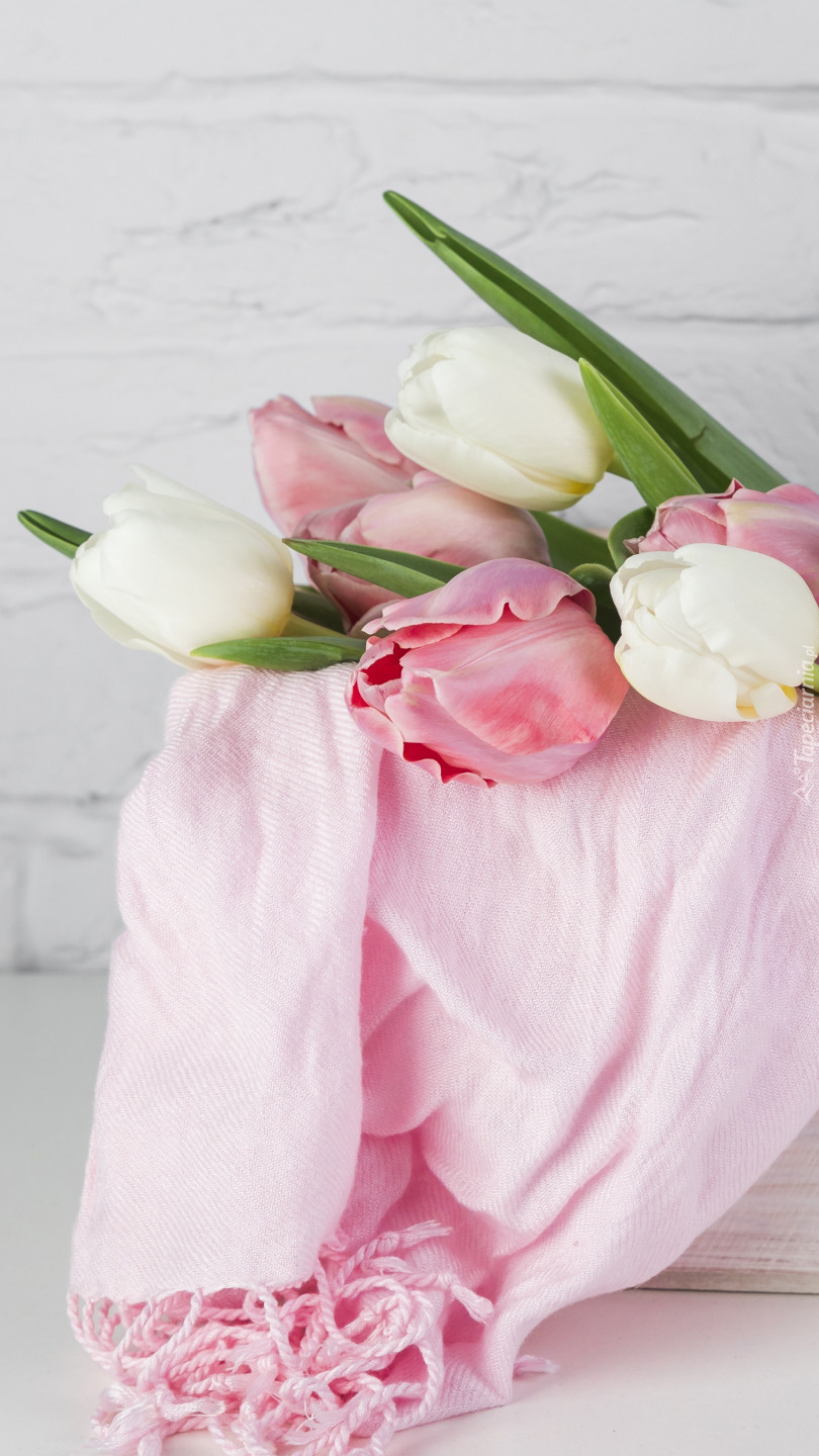 Tulipany na różowym szalu
