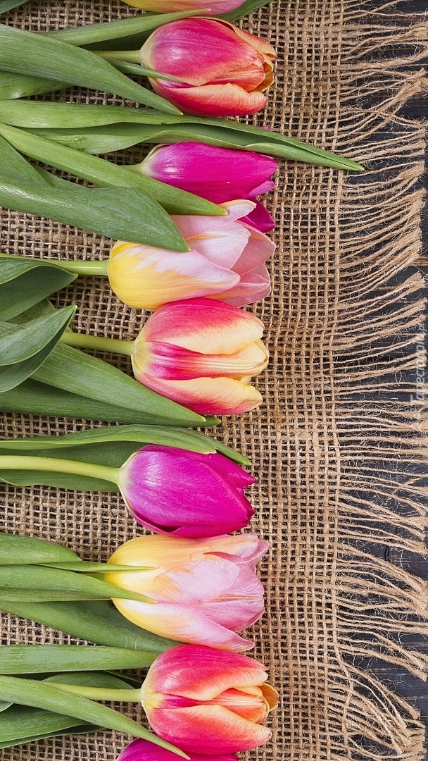 Tulipany na serwetce