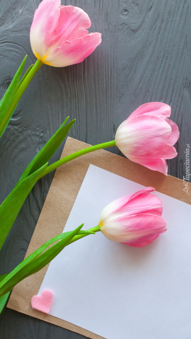 Tulipany obok kartki