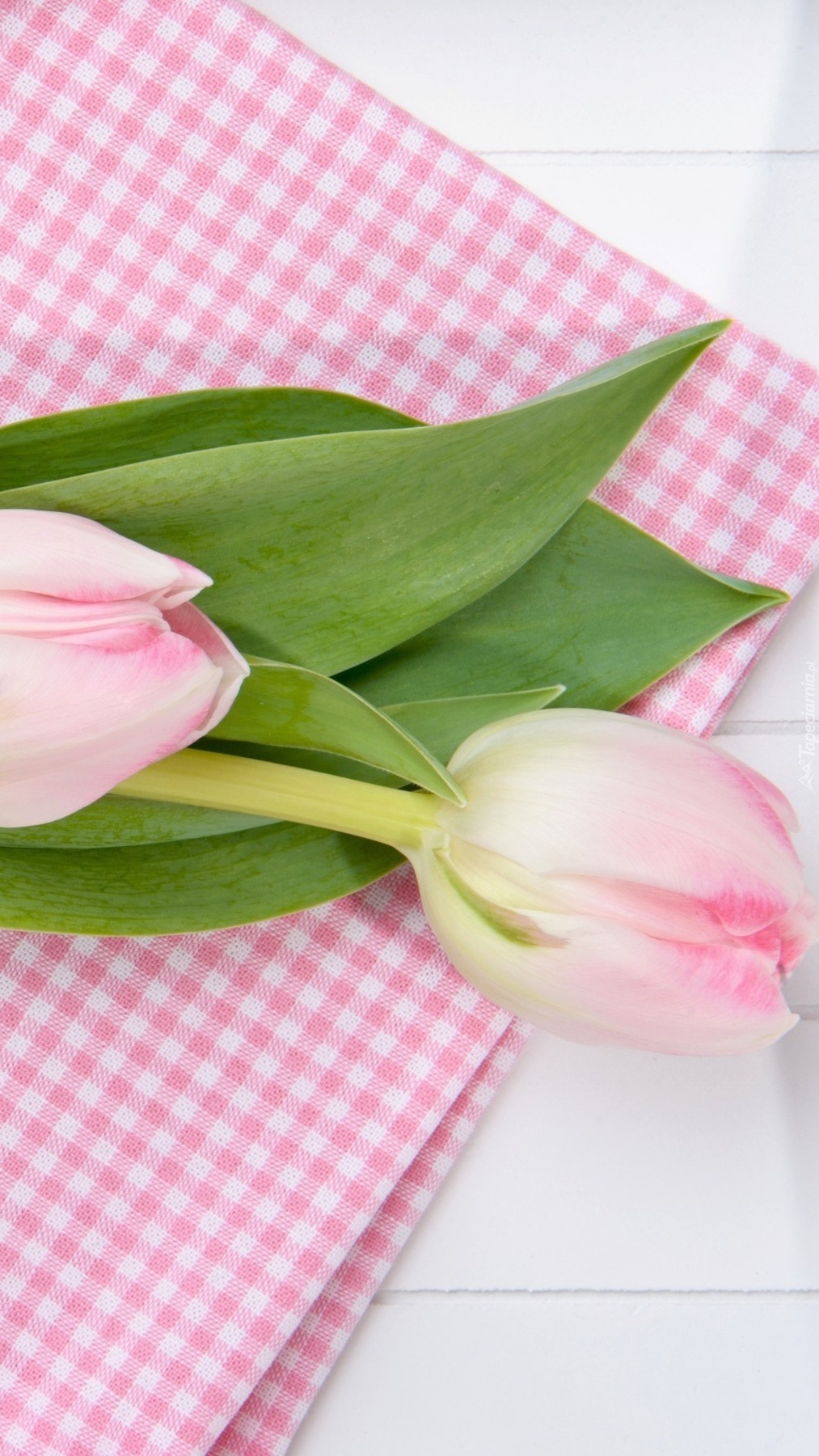 Tulipany położone na ściereczce