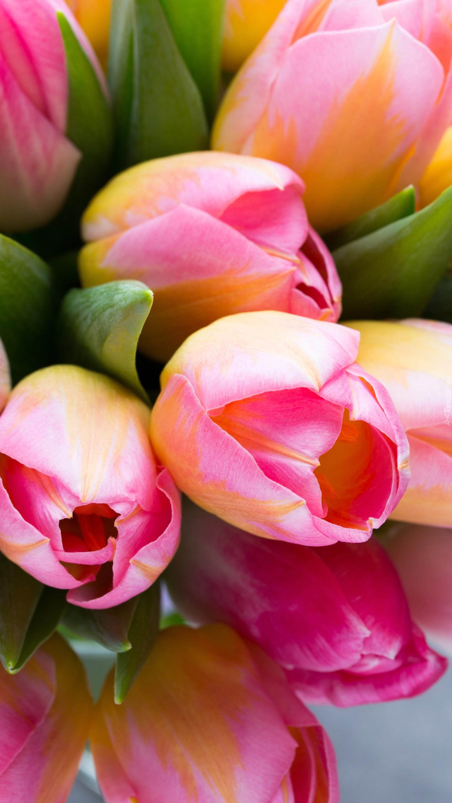 Tulipany w bukiecie