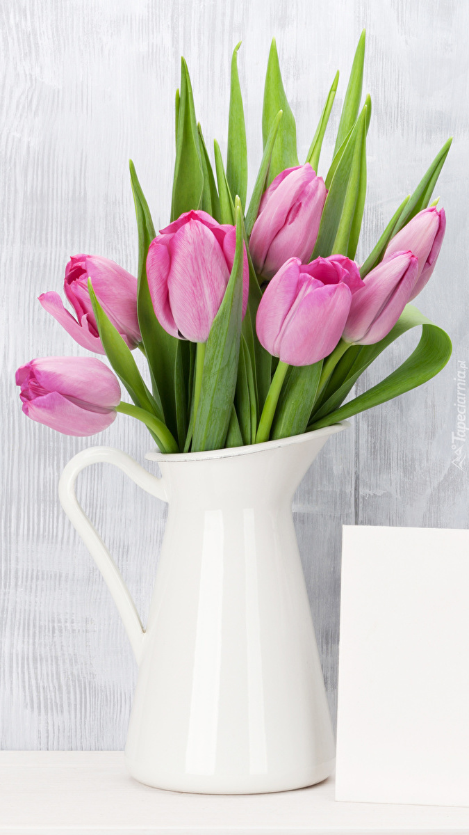 Tulipany w dzbanku