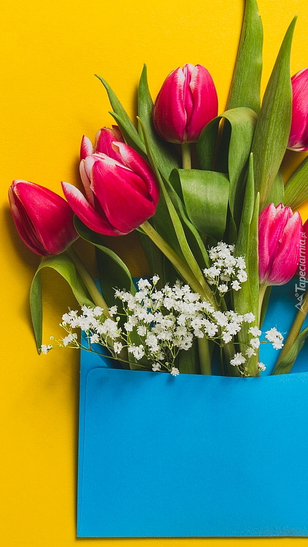 Tulipany w niebieskiej kopercie