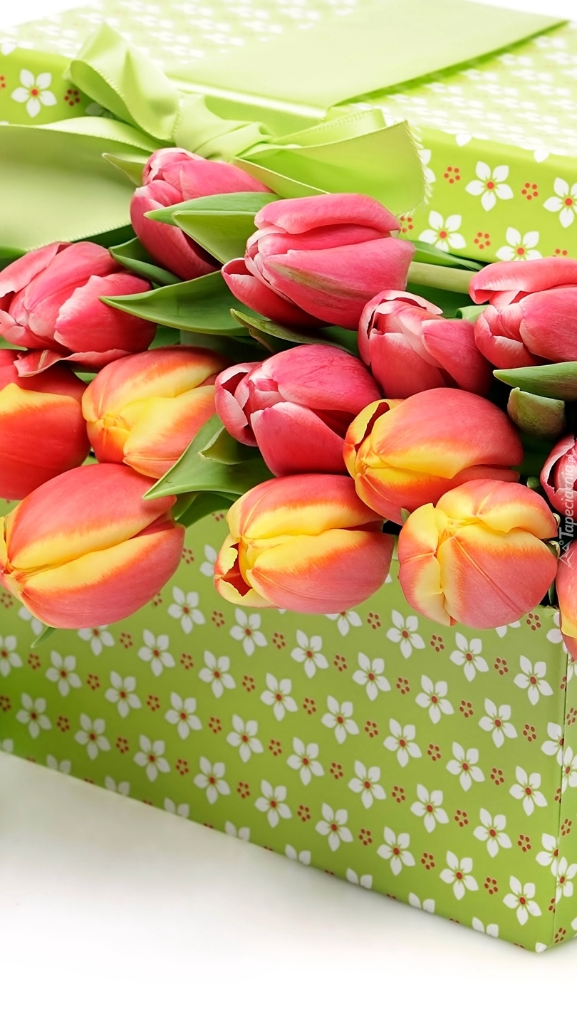 Tulipany w pudełku