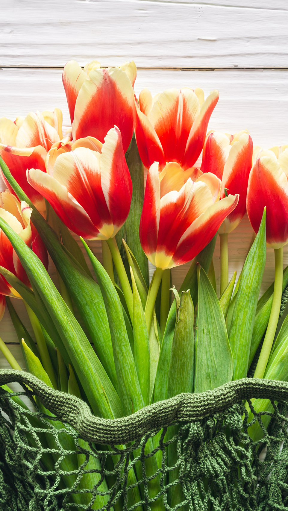 Tulipany w zielonej siatce na deskach
