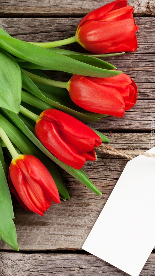 Tulipany z bilecikiem