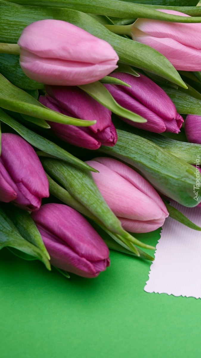 Tulipany z karteczką