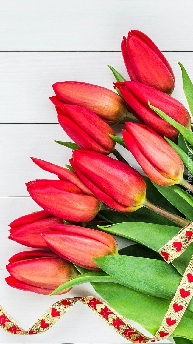 Tulipany ze wstążeczką