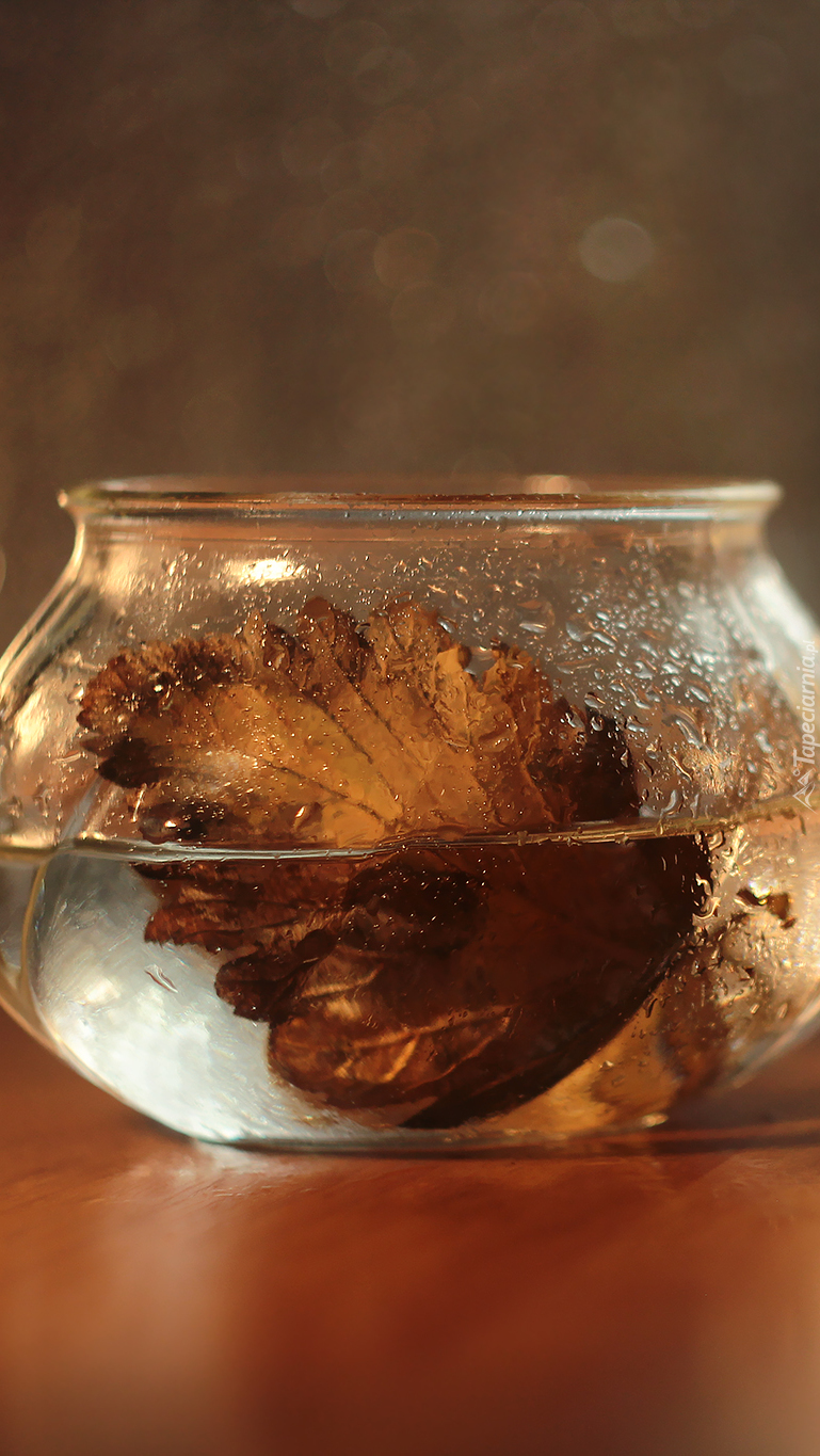 Uschnięty liść w szklanym naczyniu