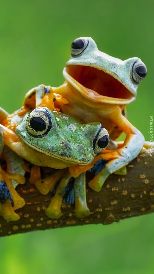 Uśmiechnij się! Robią nam zdjęcie!