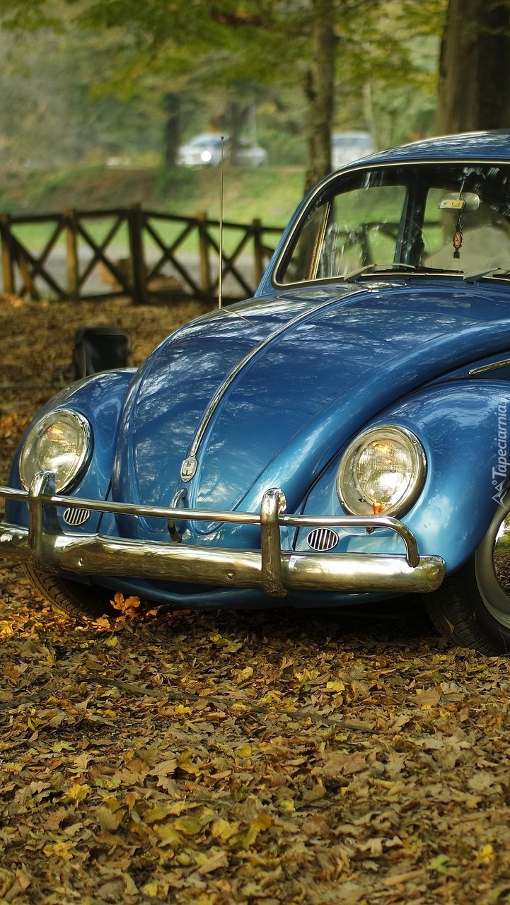 Volkswagen Beetle przodem