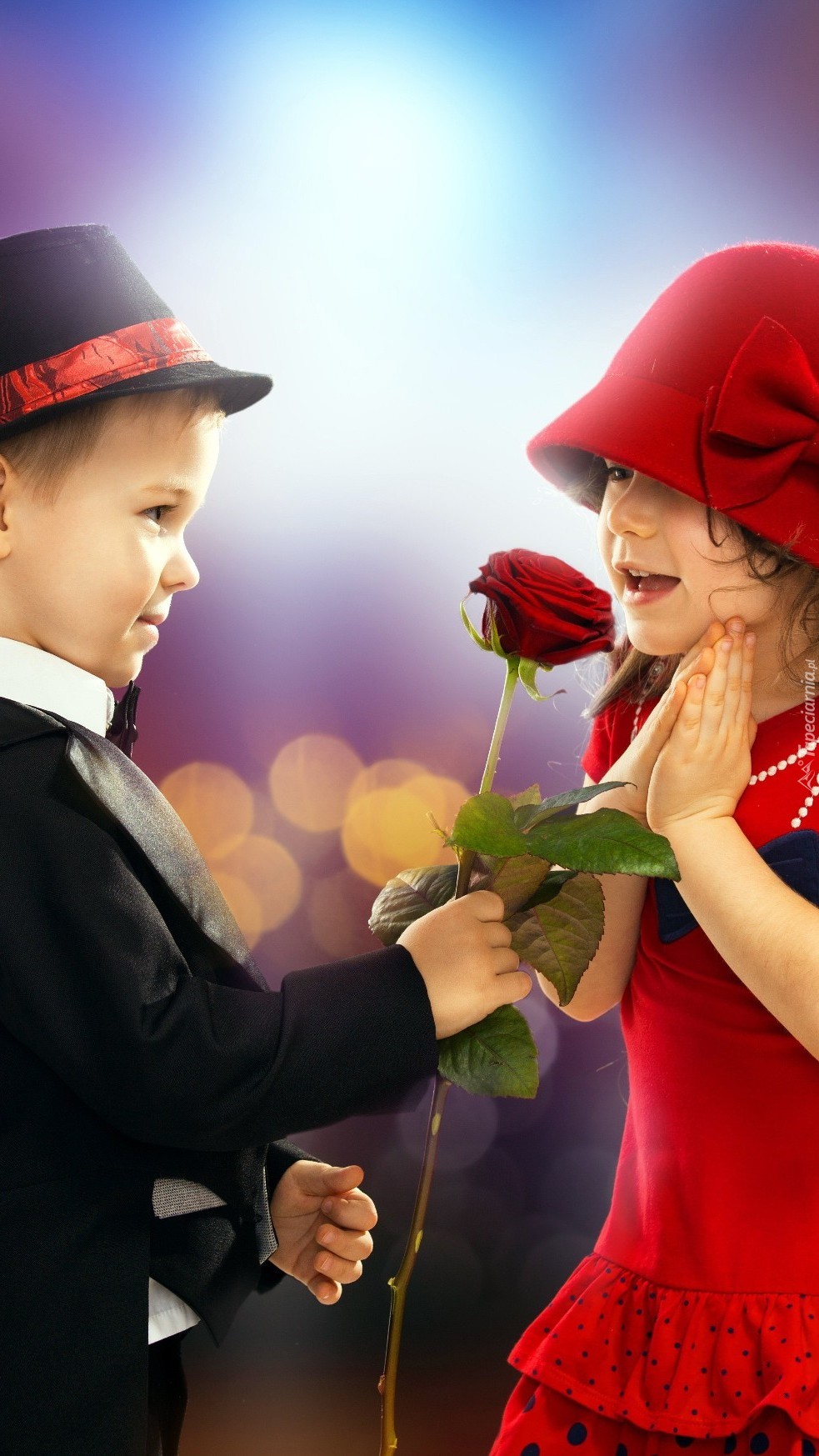 Walentynkowa róża od chłopca dla dziewczynki