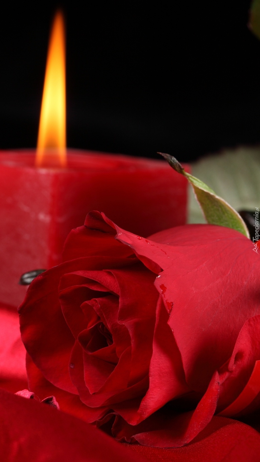 Walentynkowa świeca z czerwoną różą