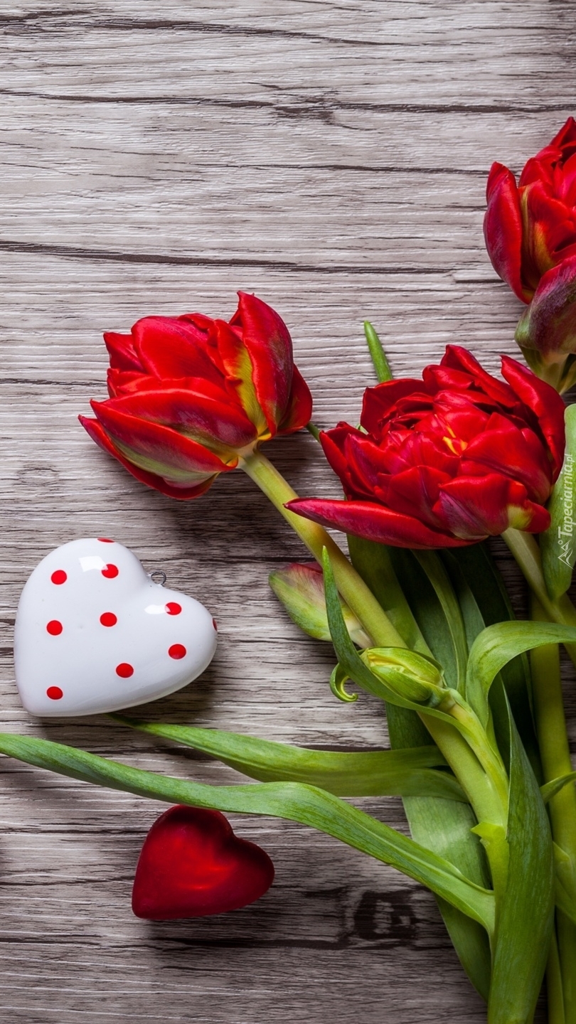 Walentynkowe serduszka i tulipany