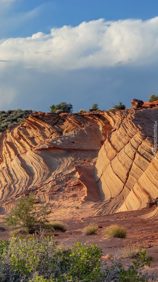 Waterholes Canyon w Arizonie