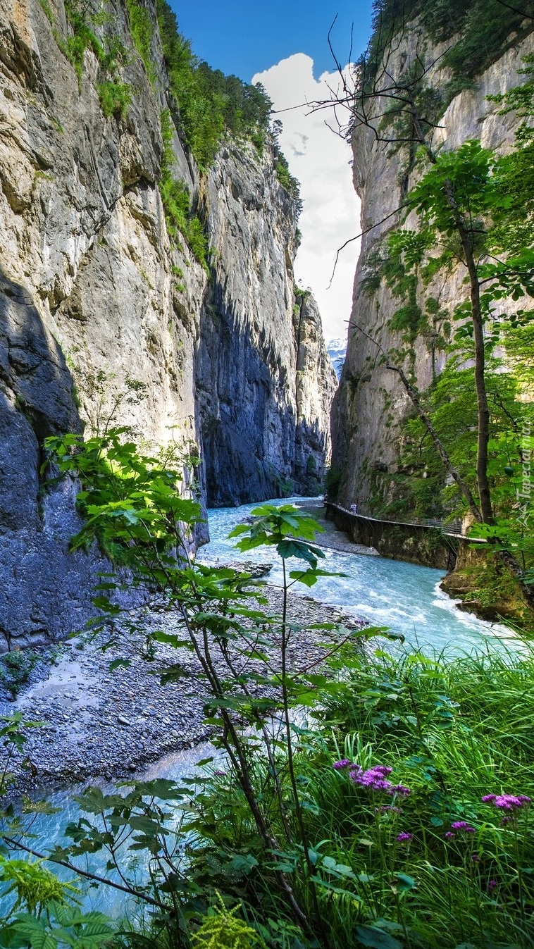 Wąwóz Aare Gorge