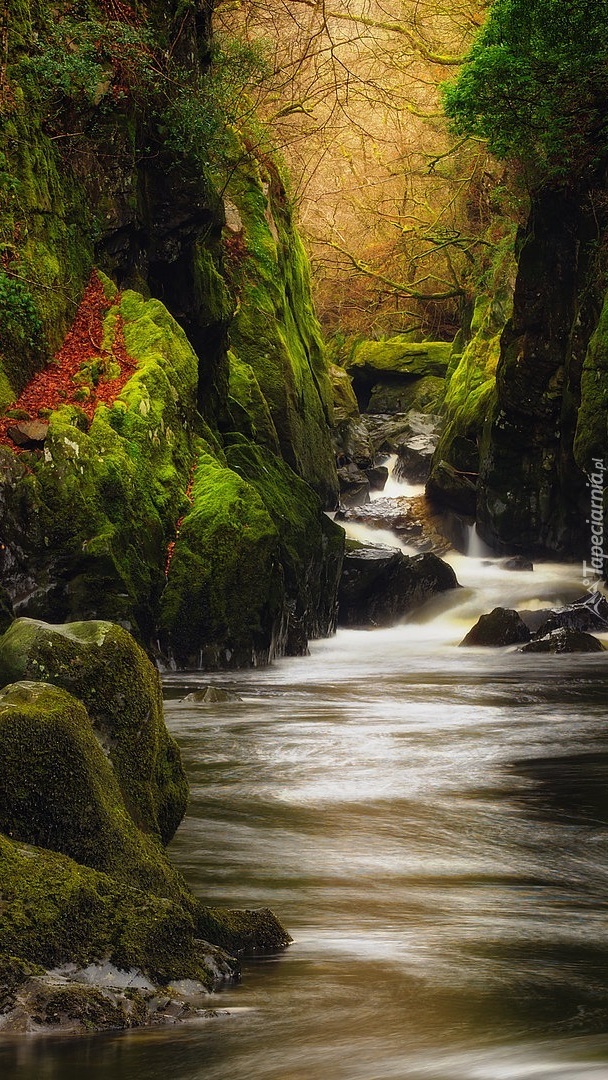 Wąwóz Fairy Glen