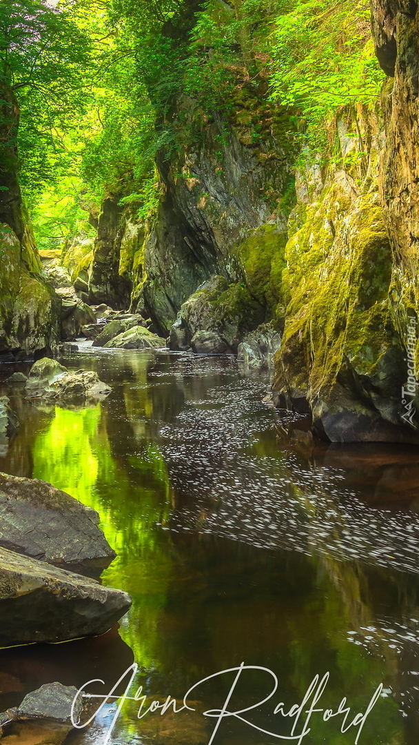 Wąwóz Fairy Glen