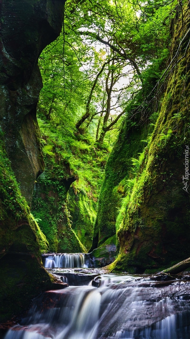 Wąwóz Finnich Glen i rzeka Carnock