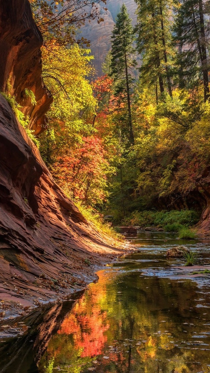 West Fork Oak Creek w Sedonie