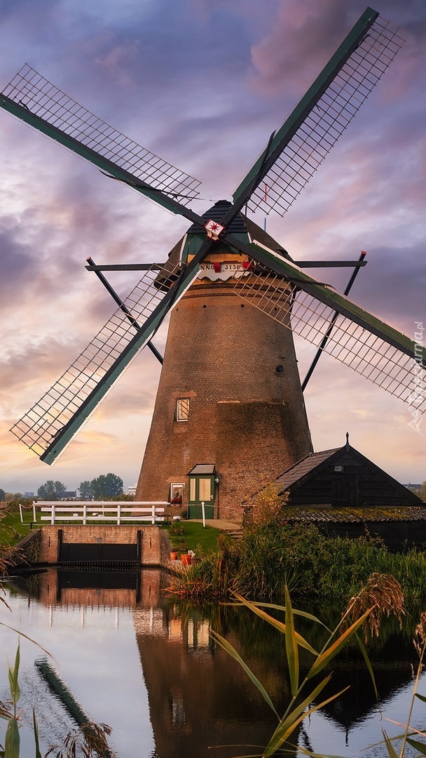 Wiatrak w Kinderdijk