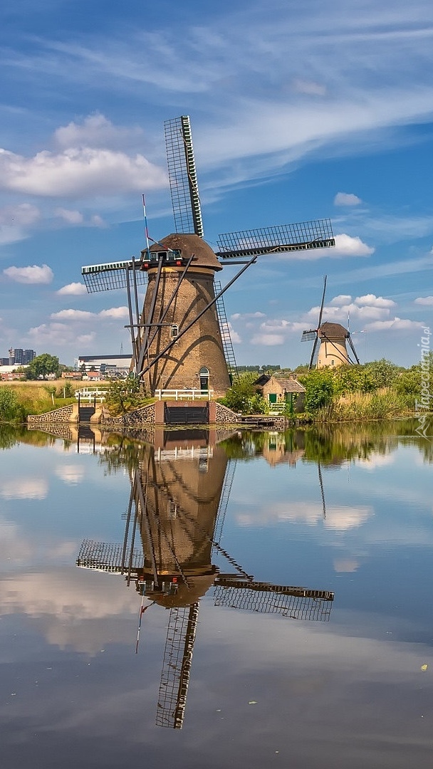 Wiatraki nad rzeką w Kinderdijk