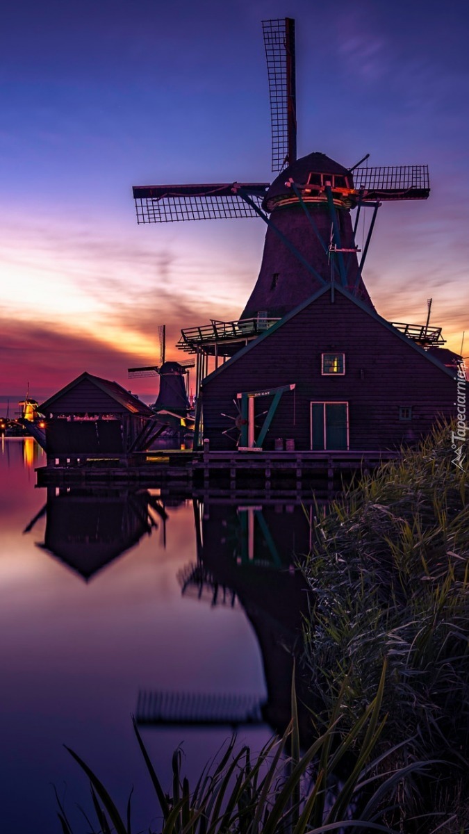 Wiatraki ze skansenu Zaanse Schans w Holandii