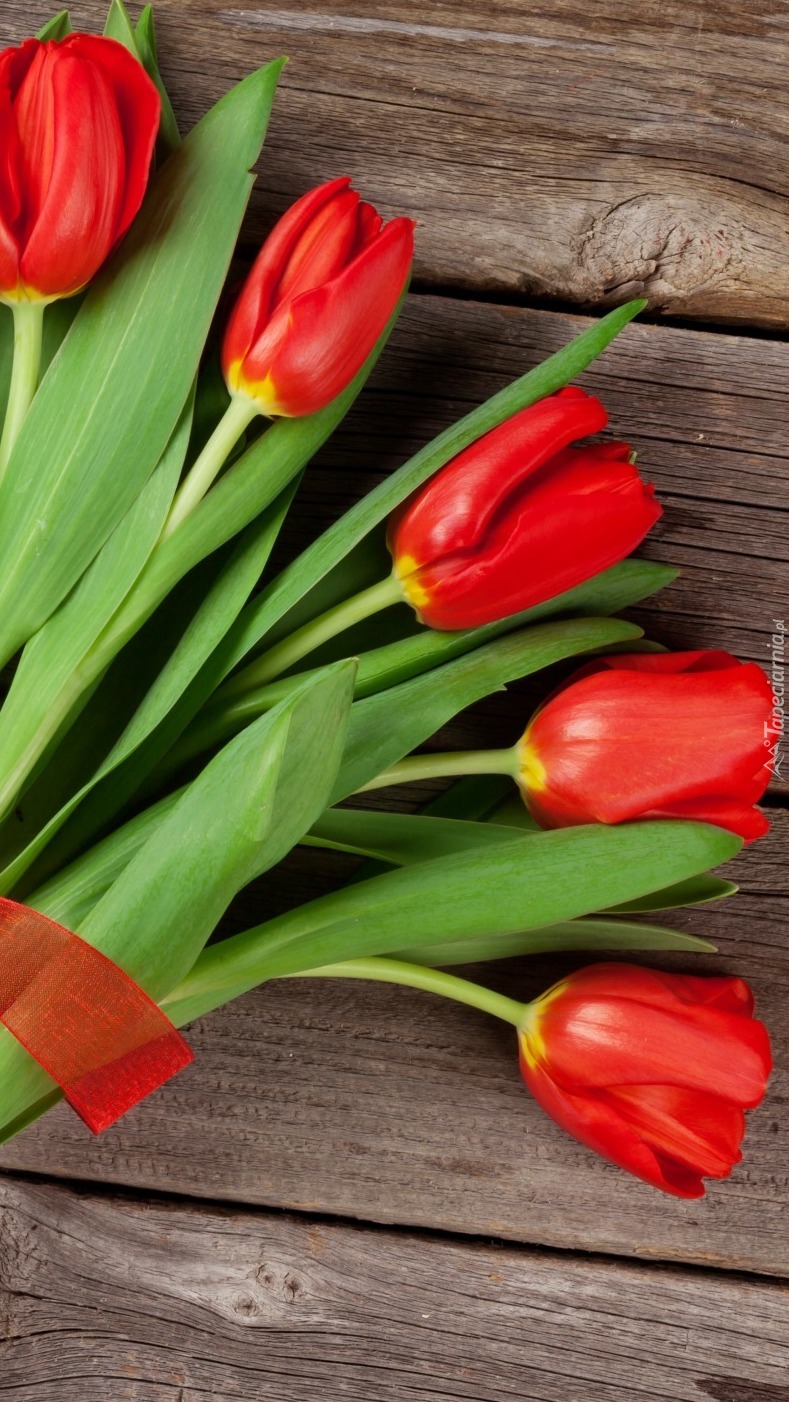 Wiązanka czerwonych tulipanów