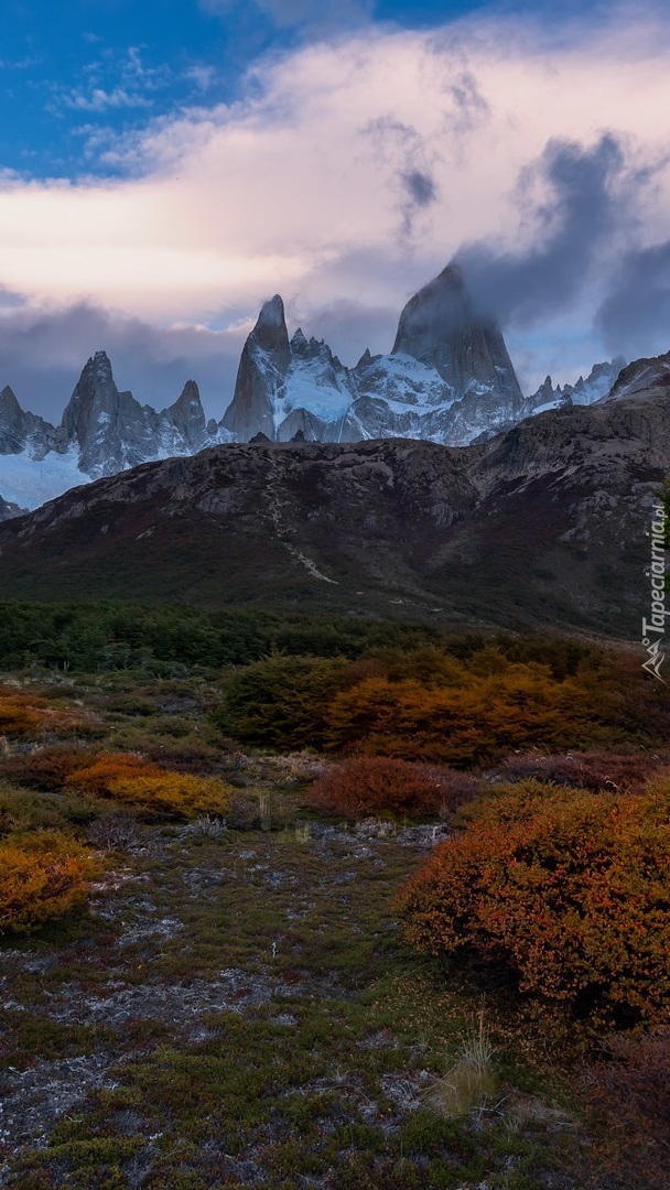 Widok na Cerro Torre i Fitz Roy