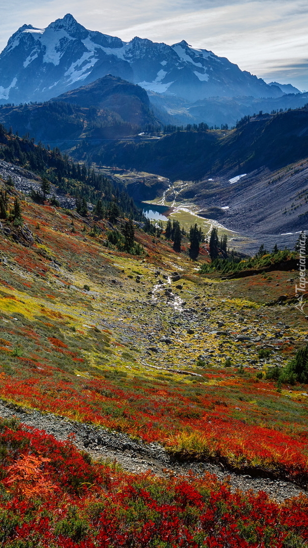 Widok na górę Mount Shuksan