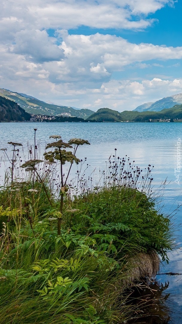 Widok na jezioro Silsersee