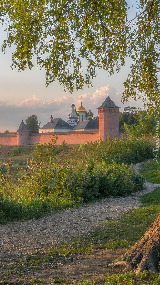 Widok na mur cerkwi