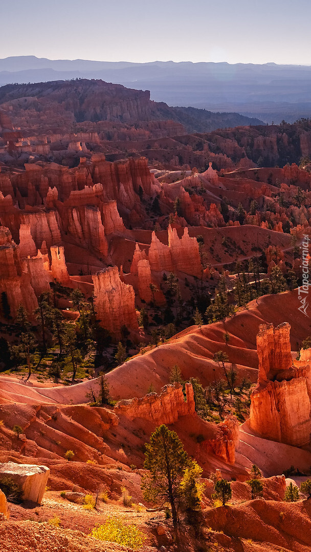 Widok na Park Narodowy Bryce Canyon w Utah