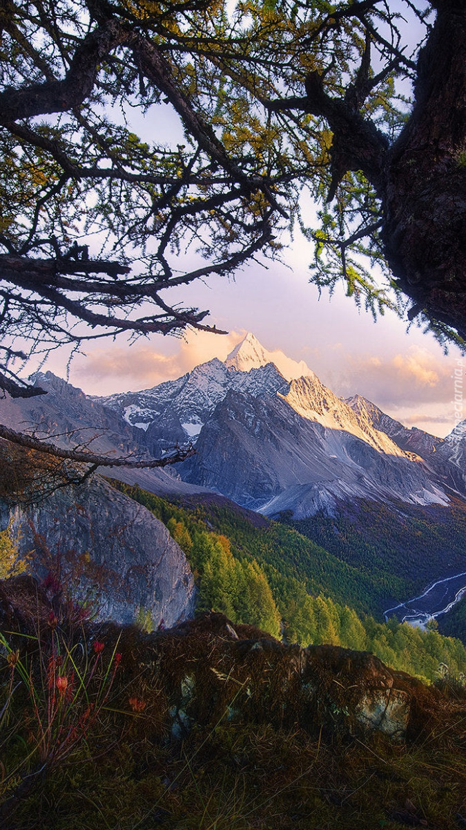 Widok na rozświetlone góry