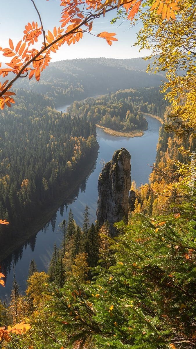 Widok na rzekę i lasy