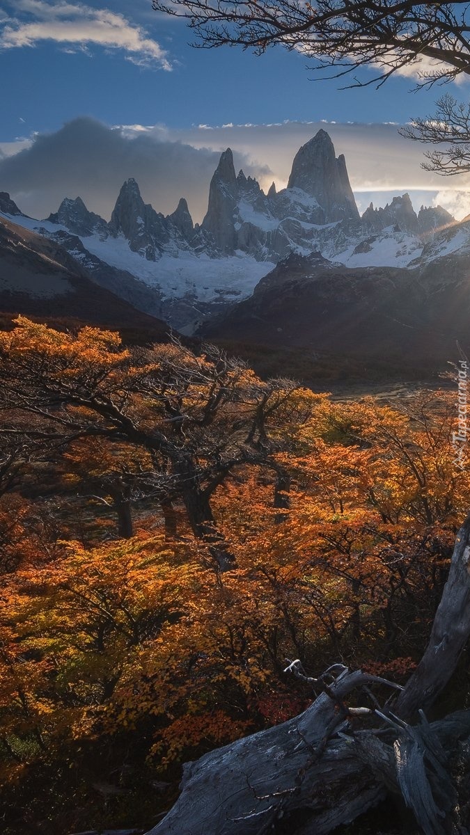 Widok na szczyt Fitz Roy w Patagonii