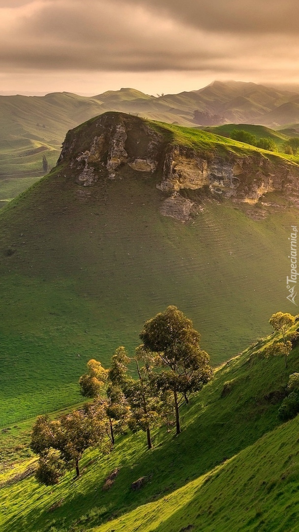 Widok na wzgórza Te Mata w regionie Hawkes Bay w Nowej Zelandii