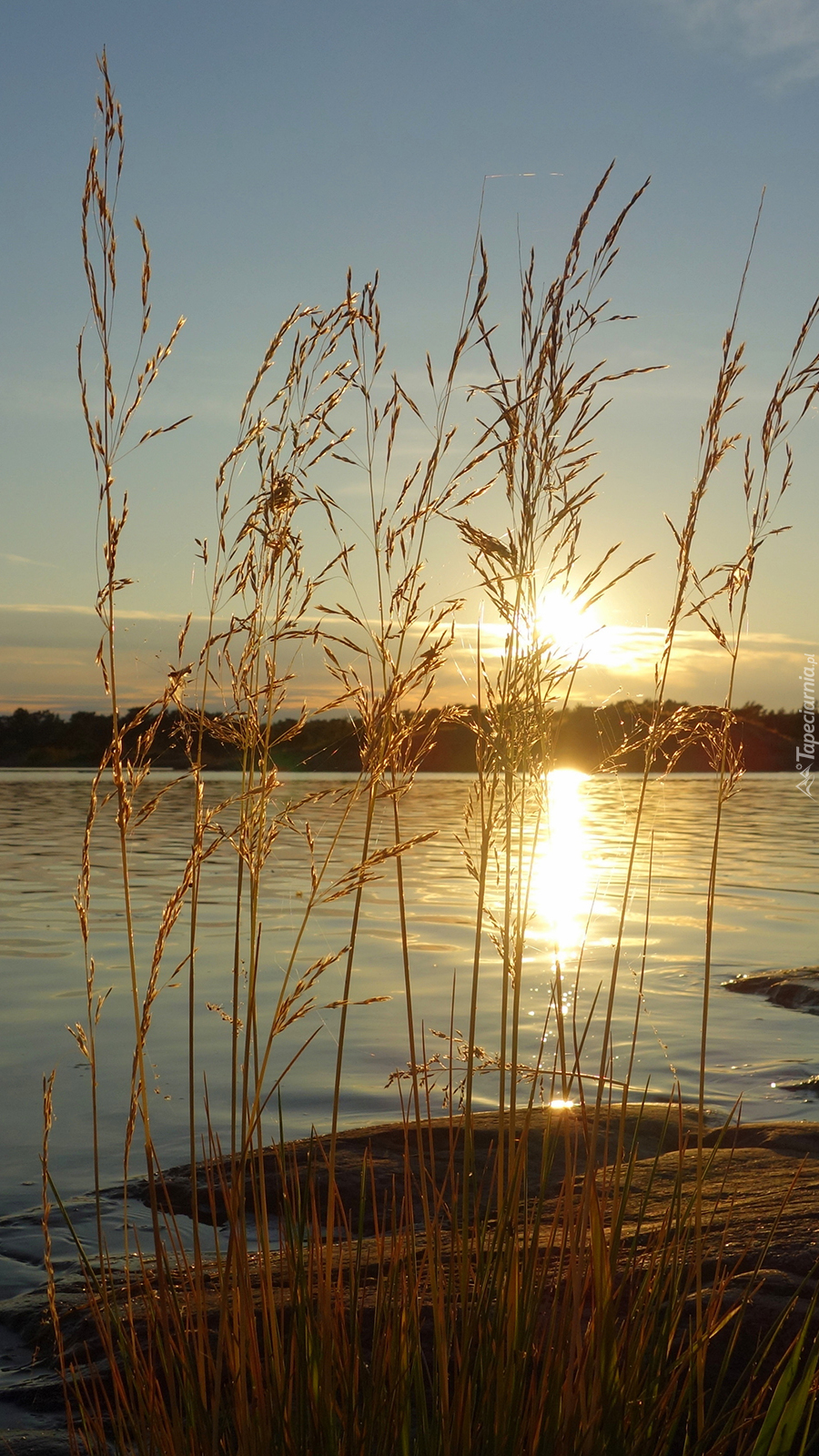 Widok na zachód słońca z brzegu jeziora