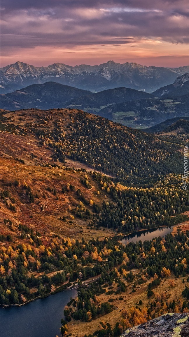 Widok na zalesione góry