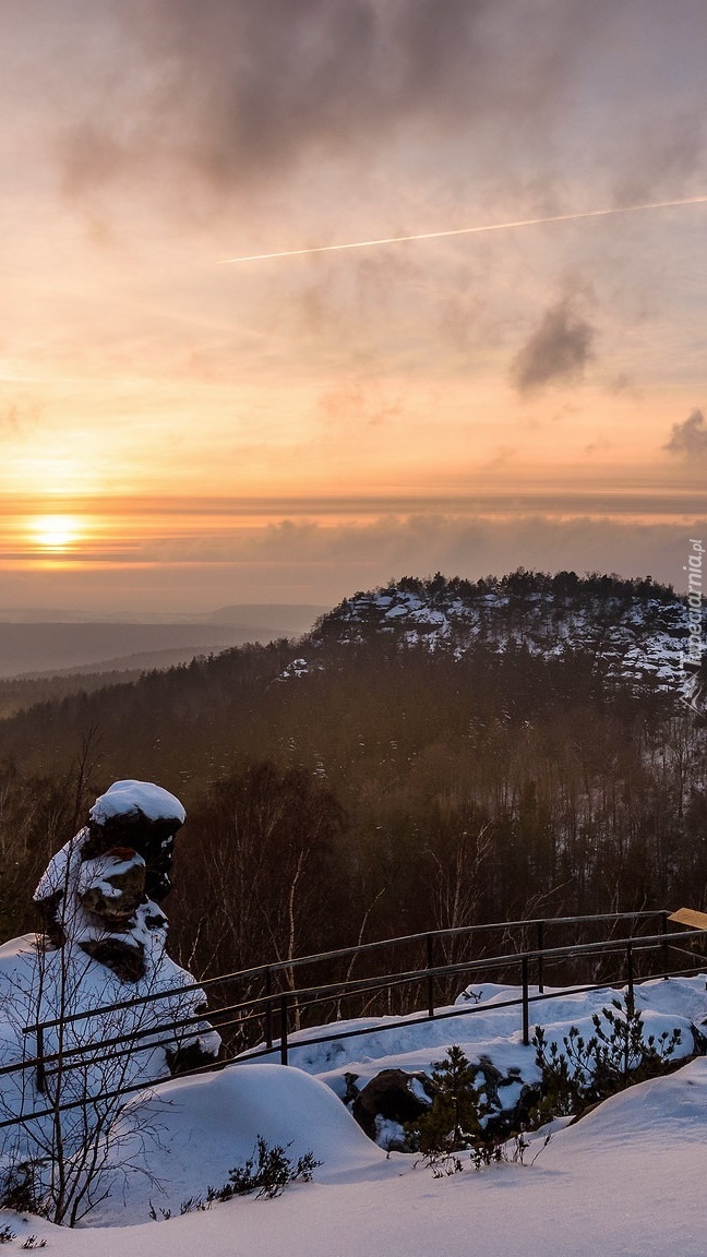 Widok na zalesione góry