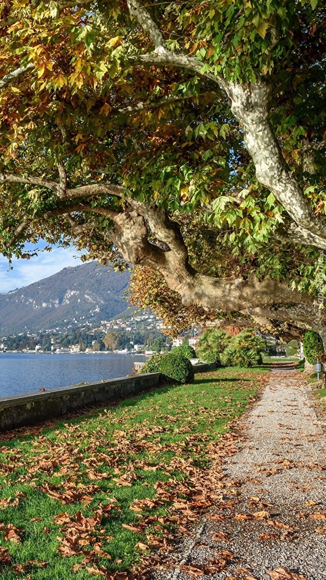 Widok z alejki na jezioro Lago di Como